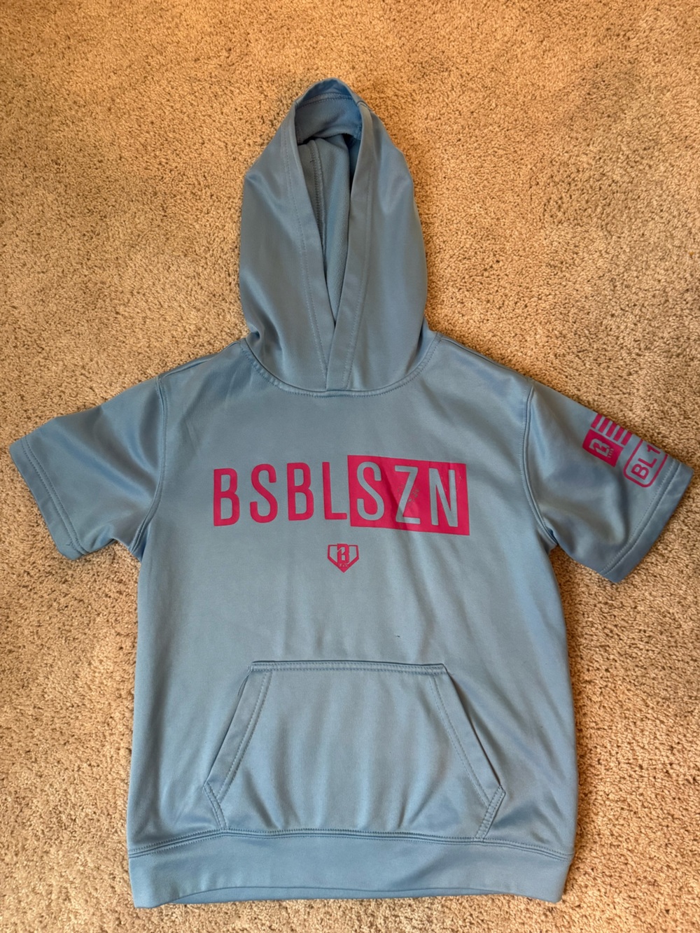 Kids Baseball 101 Light Blue Short-Sleeve Hoodie with Pink Logo